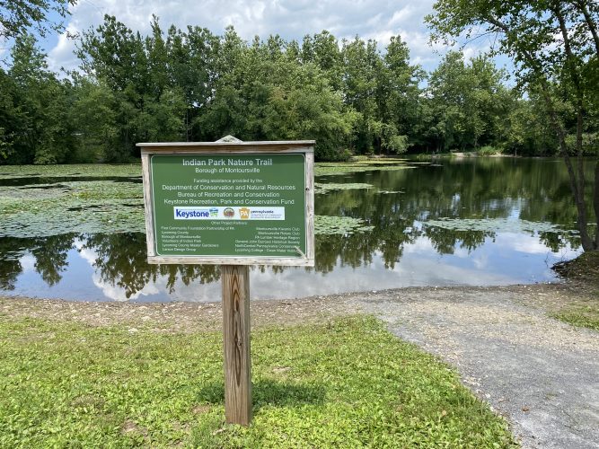 Montoursville comes alive in the summer News, Sports, Jobs